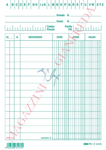 SCHEDA DARE AVERE SALDO VERDE E3113VE